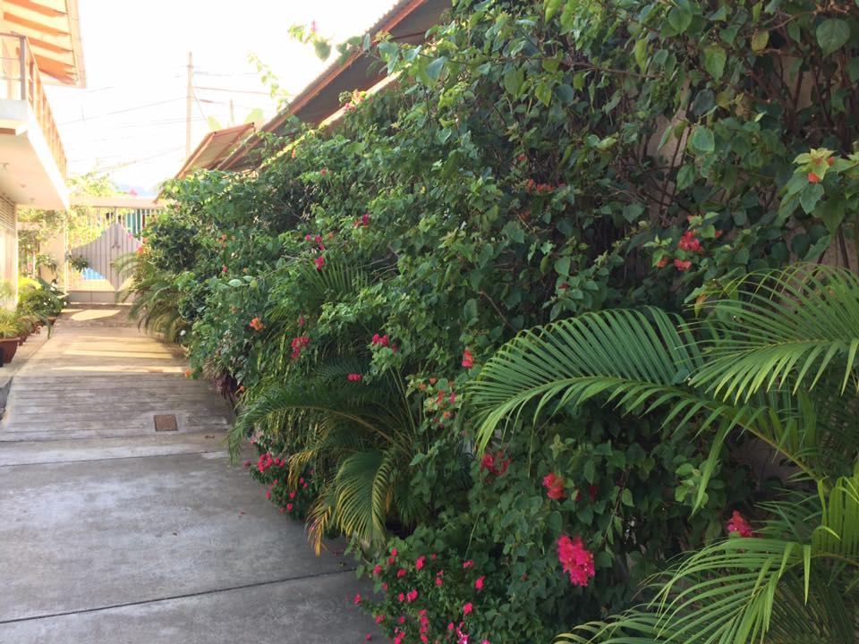 La Casa Del Italiano Bed & Breakfast Tarapoto Ngoại thất bức ảnh